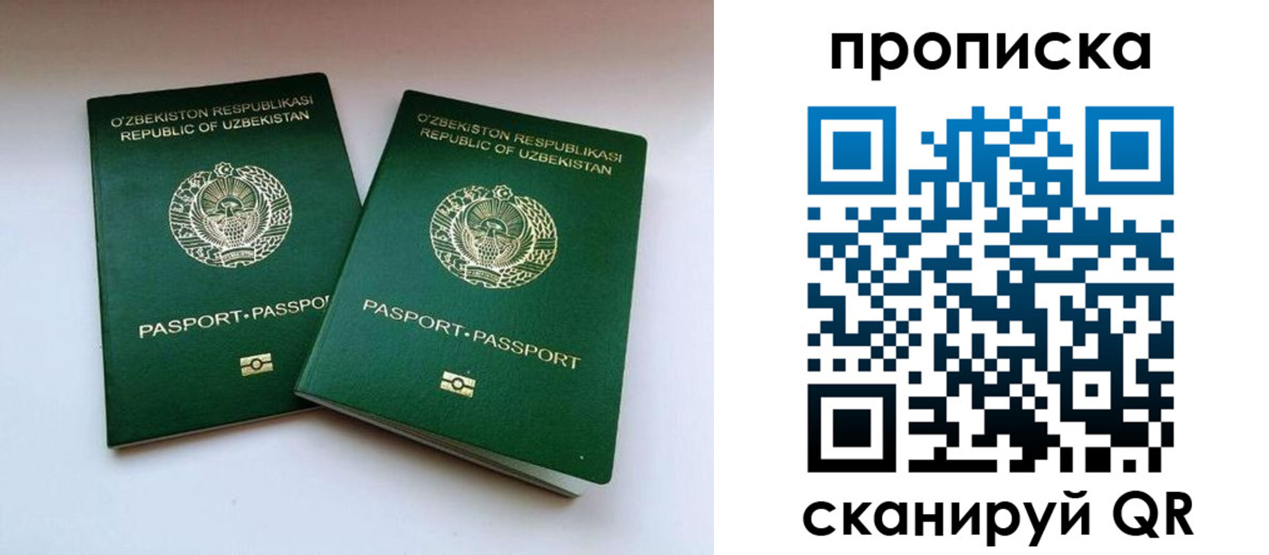прописка поиск в Асино